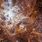 Tarantula Nebula Desktop