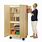 Teacher Storage Cabinet