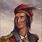 Tecumseh Indian