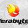 Terabyte Logo