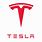 Tesla Logo On Car
