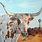 Texas Longhorn Cattle Painting