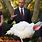 Thanksgiving Turkey Pardon