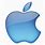 The Apple iPhone Logo
