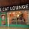 The Cat Lounge Coventry