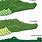 The Difference Between Crocodiles Alligators