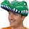 The Gator Hat