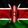 The Kenya Flag