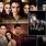 The Twilight Series in Order