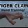 Tiger Claw Hand