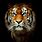 Tiger Wallpaper 4K iPhone