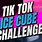TikTok Ice Cube Challenge