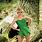 Tinkerbell Cosplay Images