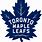 Toronto Maple Leafs Logo Small
