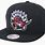 Toronto Raptors Hat