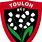 Toulon Rugby Team