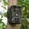 Trail Camera for Hunting