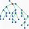 Tree Graph Theory