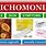 Trichomoniasis Medication