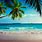 Tropical Beach Desktop Themes Windows 10 Free