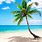 Tropical Beach Images. Free