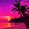 Tropical Beach Sunset Pink