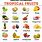Tropical Fruits Names List
