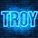 Troy Name