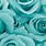 Turquoise Floral Background