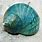 Turquoise Sea Shells