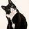 Tuxedo Cat Images