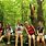 Tween Girls Camp Hiking