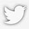 Twitter Logo SVG White