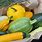Types of Green Summer Squash