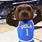 UCLA Basketball Bruins