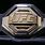UFC Title Belt