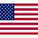 USA Flag Vector Logo
