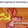 USSR Our Meme