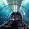 Underwater Train Tunnel