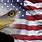 United States Flag Eagle