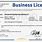 Us Business License