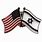 Us Israel Flag Pin