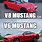 V6 Mustang Meme