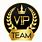 VIP Team Logo