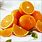 Valencia Orange Fruit