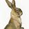 Vintage Bunny Clip Art