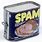Vintage Spam Can