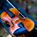 Violin String Instrument