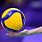 Volleyball Ball World Cup