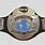 WCW World Heavyweight Belt